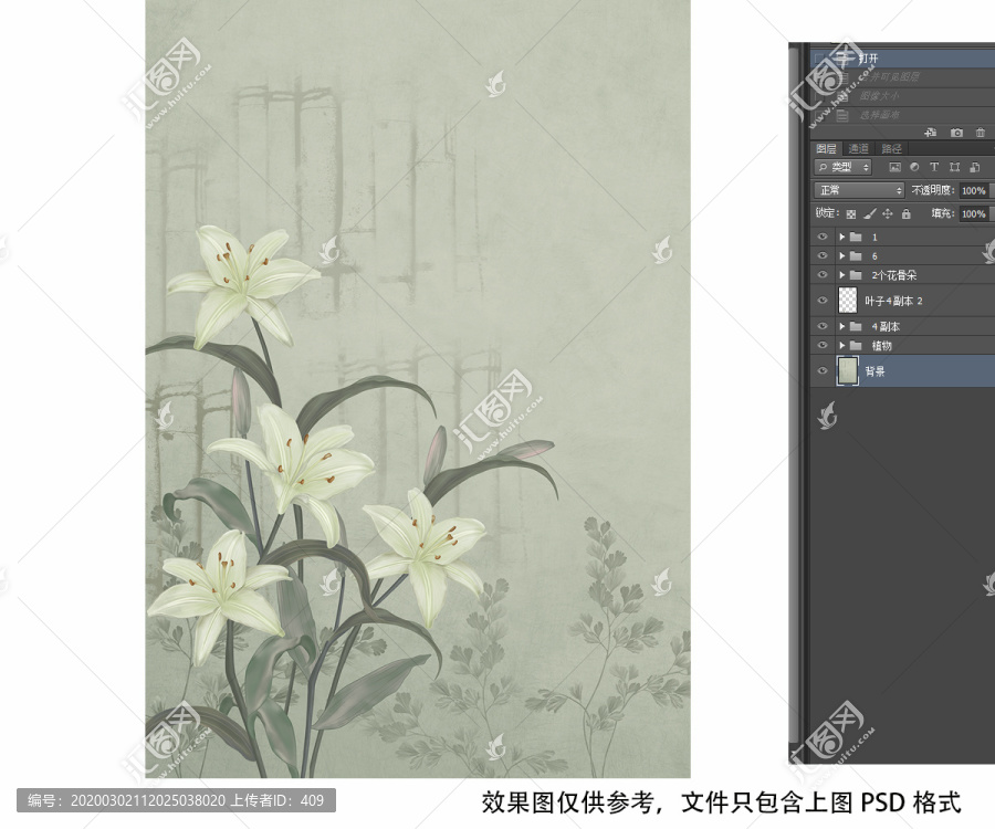 百合花插畫