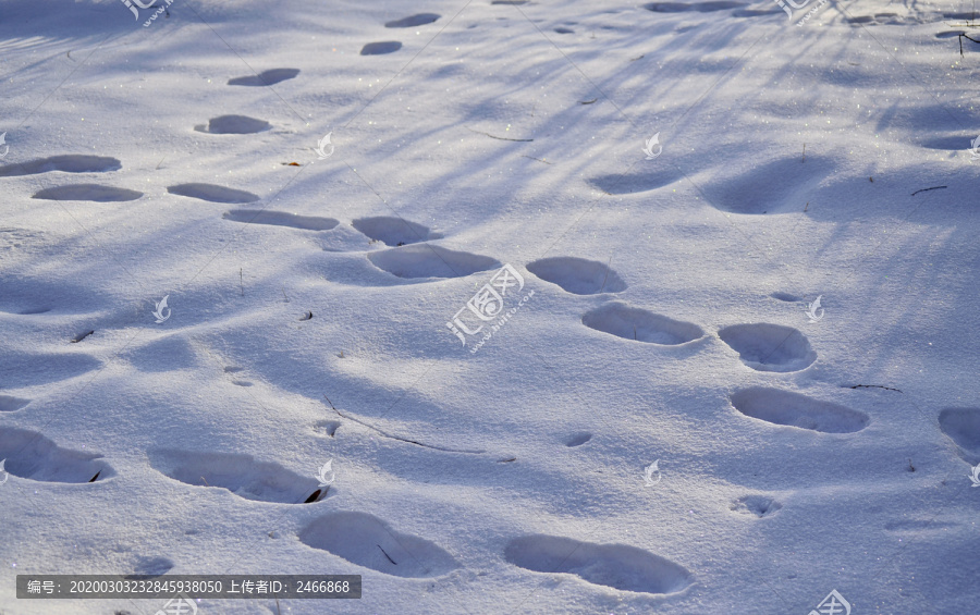 雪