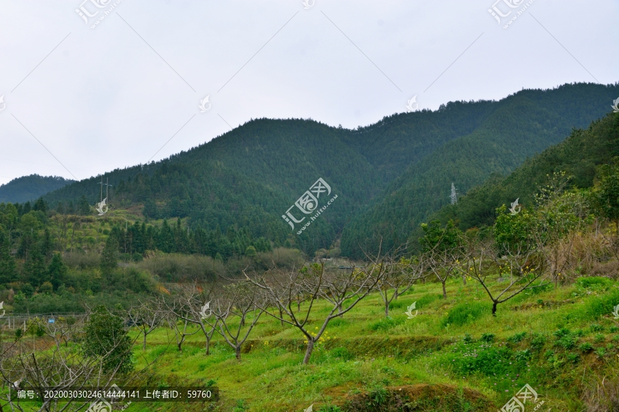 山地果园