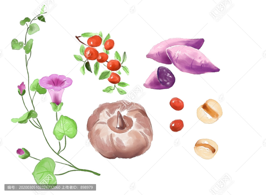 魔芋代餐粉插畫