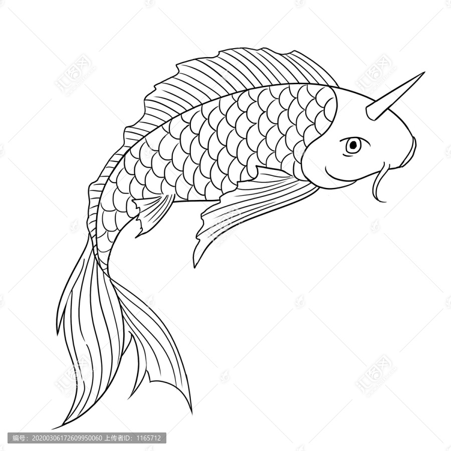 鯉魚(yú)