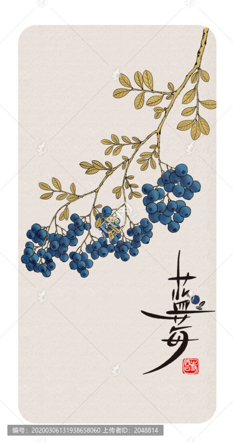 藍(lán)莓2