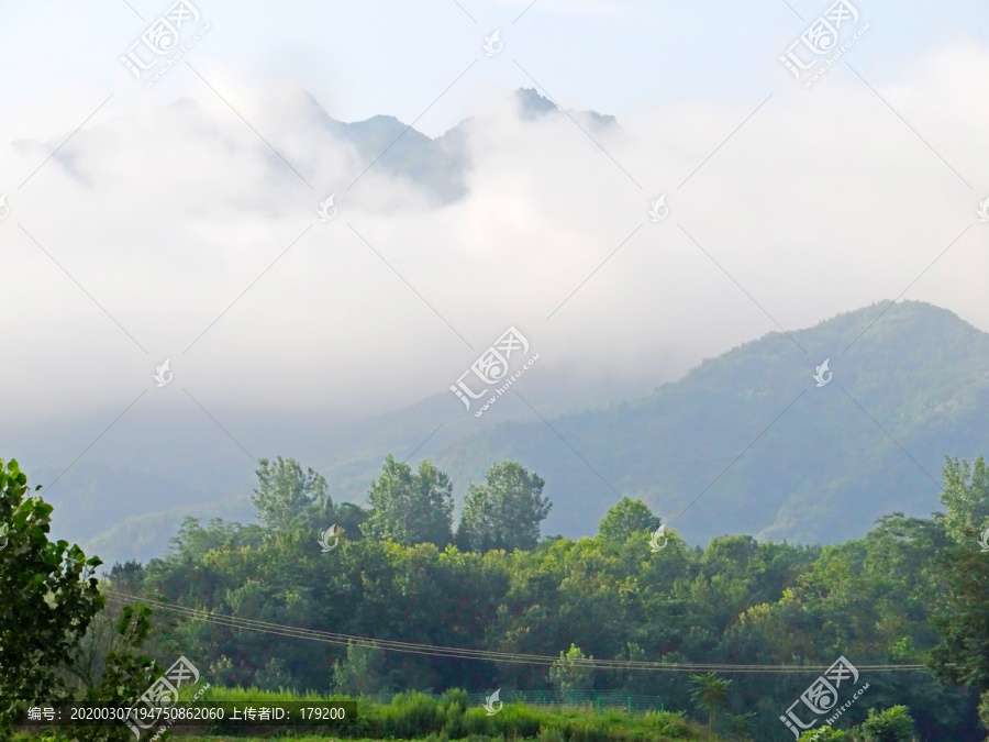 高山云雾三