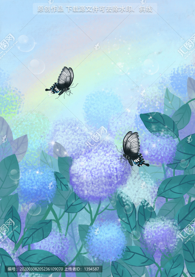 鳳蝶和繡球花以及彩虹