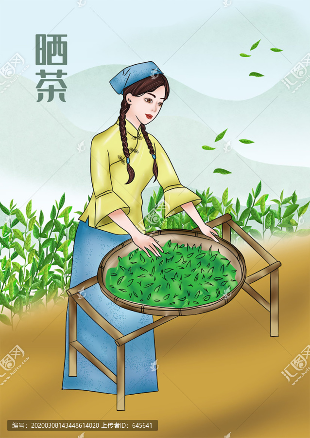 曬茶美女