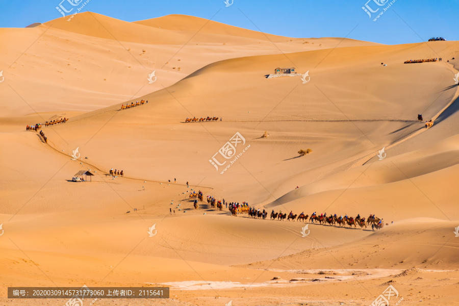 敦煌鸣沙山景区沙漠沙山骆驼队