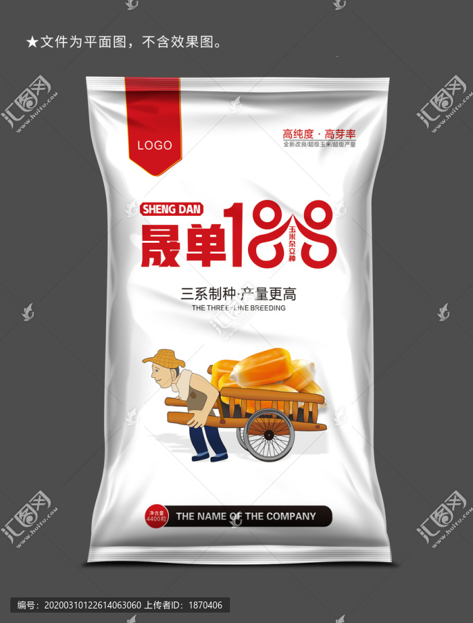玉米種子