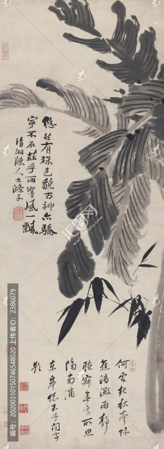 石濤蕉竹圖