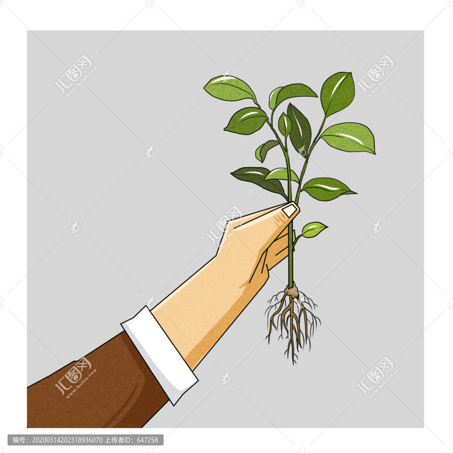 手拿植物