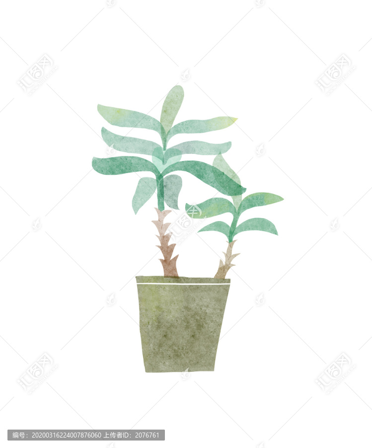 手繪水彩植物素材