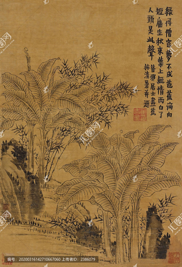 金農(nóng)蕉林清暑圖