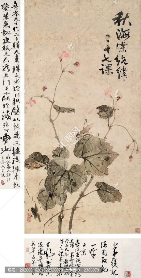 高奇峰秋海棠絡(luò)緯