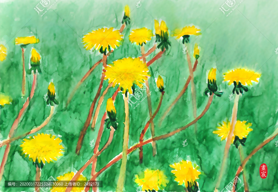 野菊花