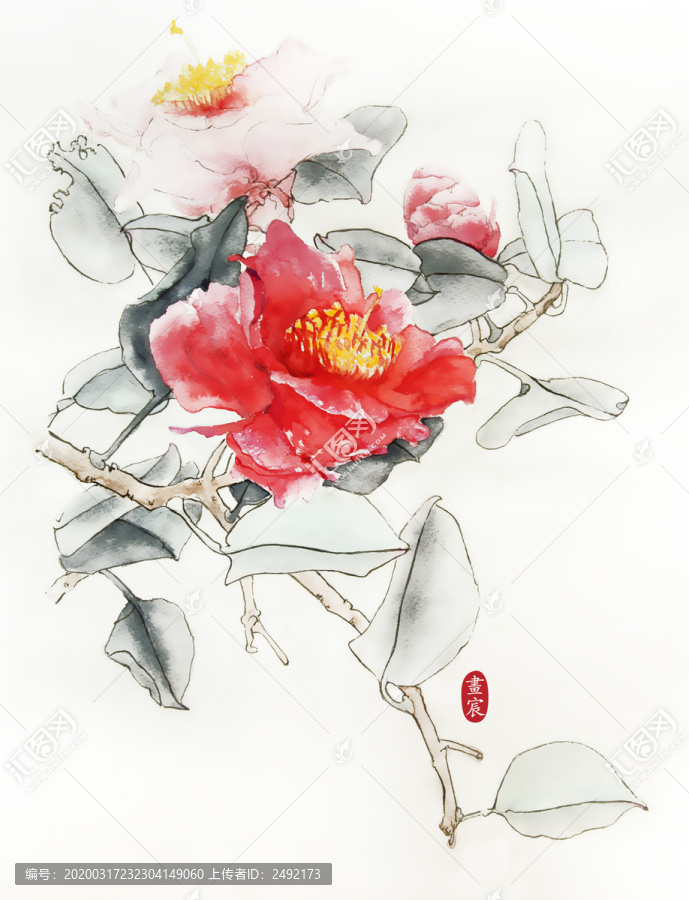 中國風牡丹花