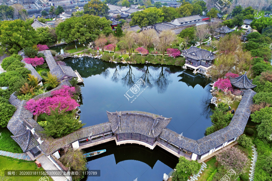 宁波月湖公园航拍梅花