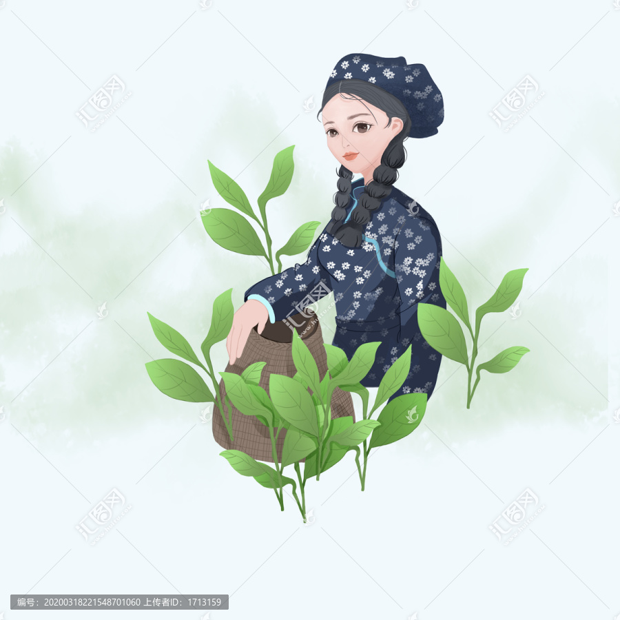 采茶女