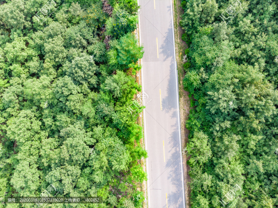 夏天航拍山区公路