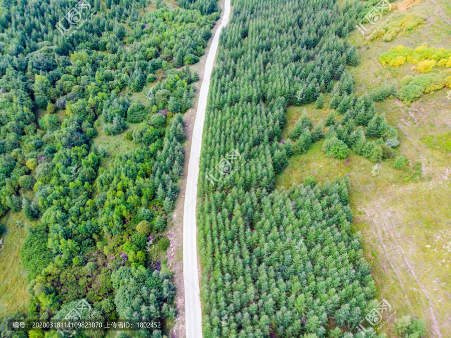 夏季航拍山区公路