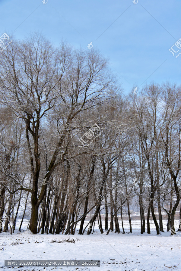 雪景