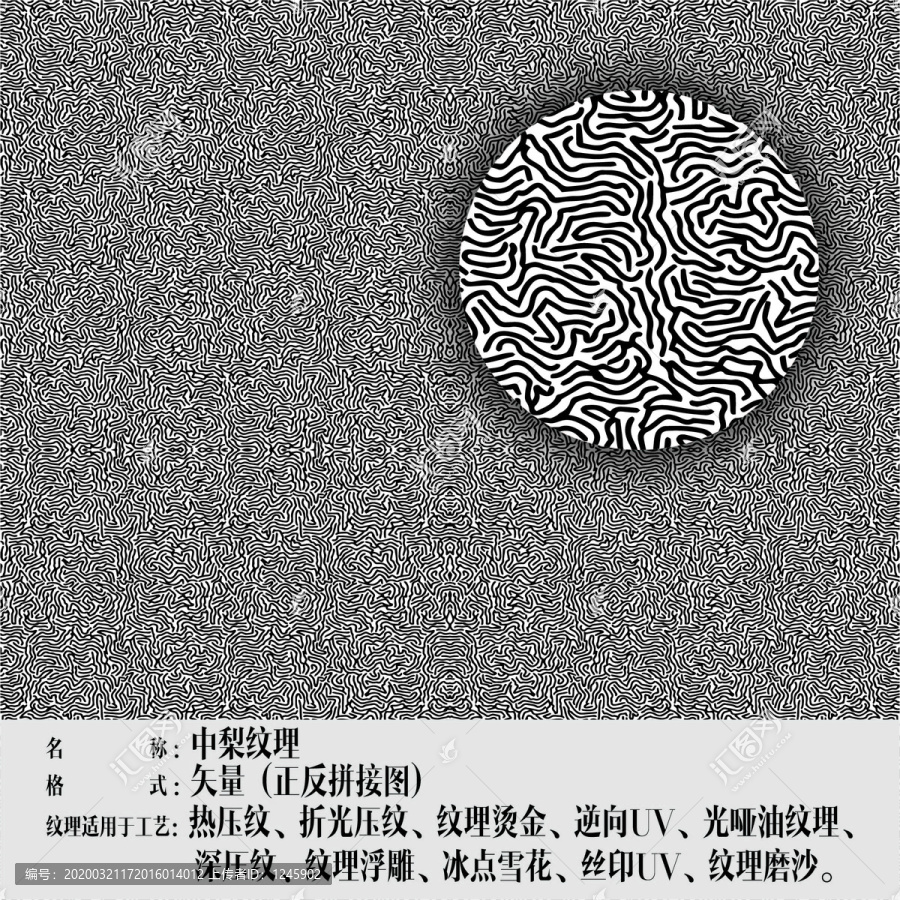 中梨紋理