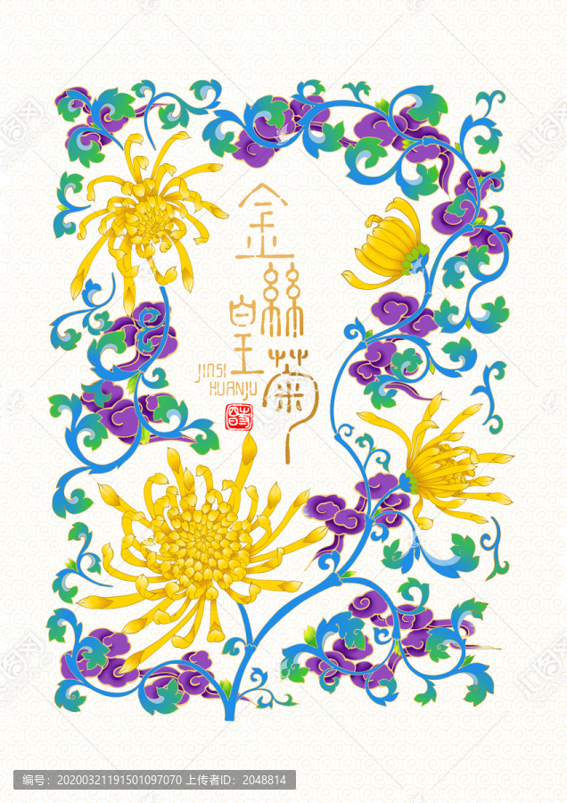 金絲皇菊