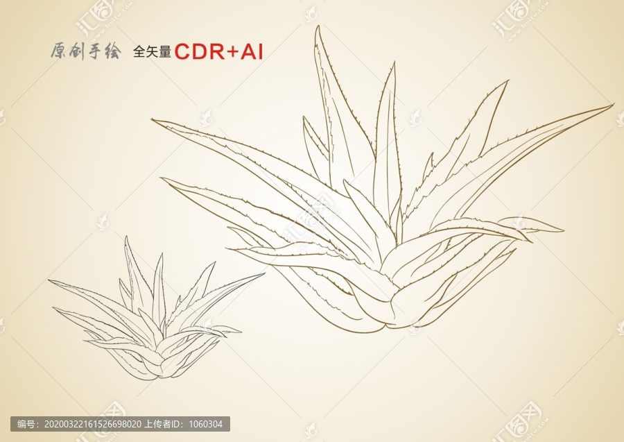 芦荟手绘芦荟线稿矢量芦荟插画