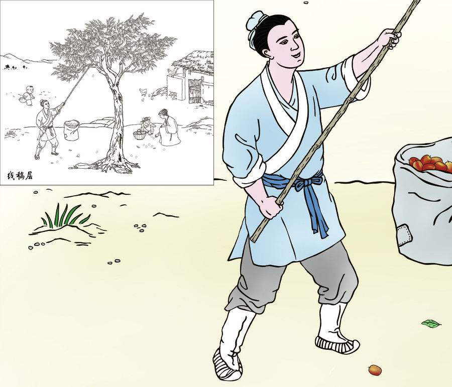古代勞動場景打棗圖