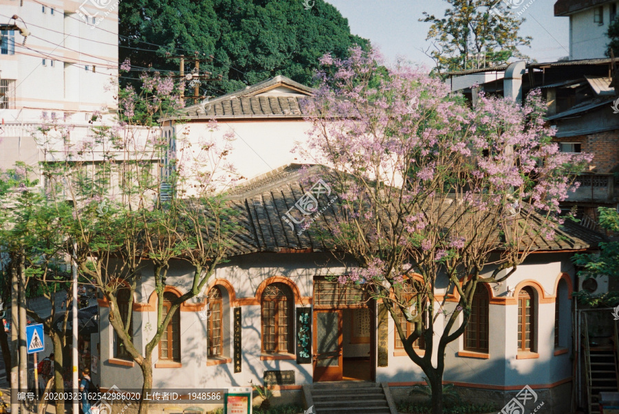 蓝花楹鲁贻图书馆