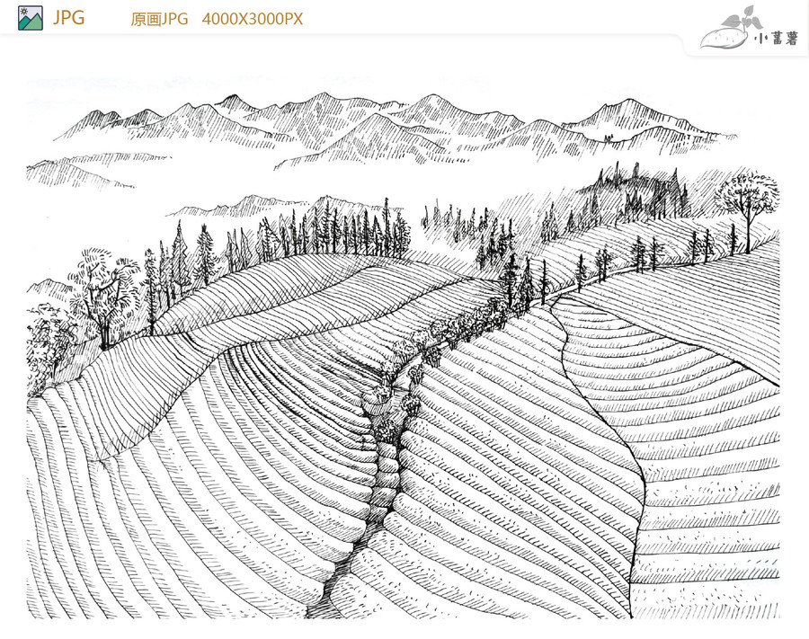 手繪高山茶園農(nóng)場(chǎng)矢量圖