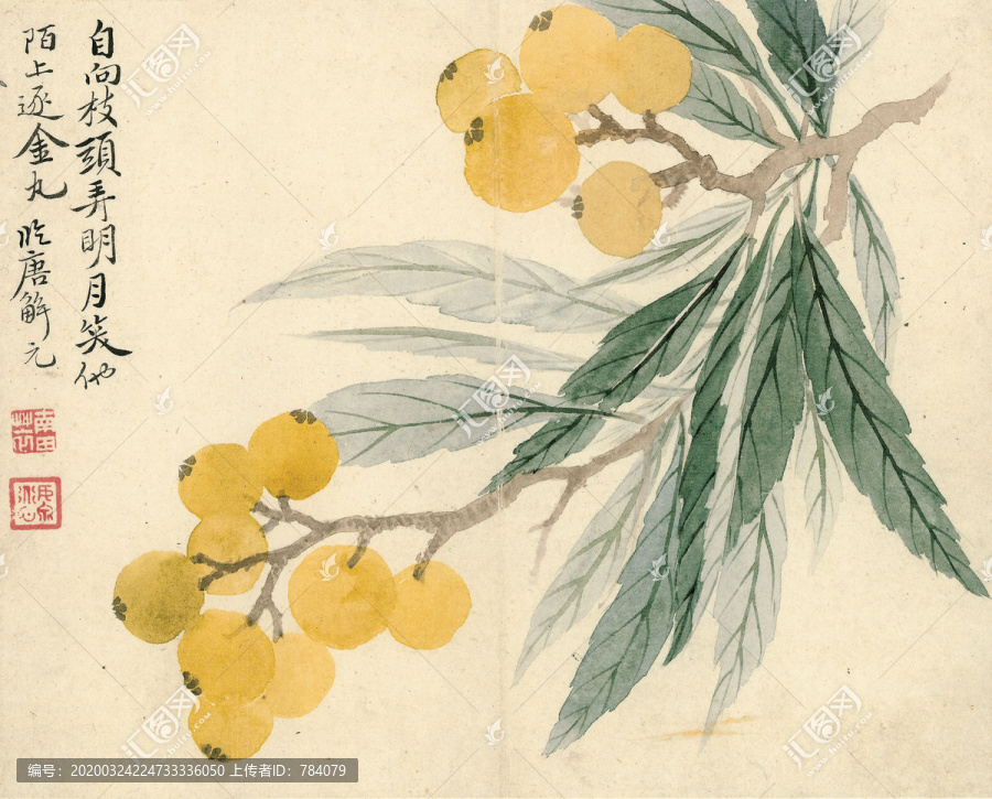 惲南田枇杷圖