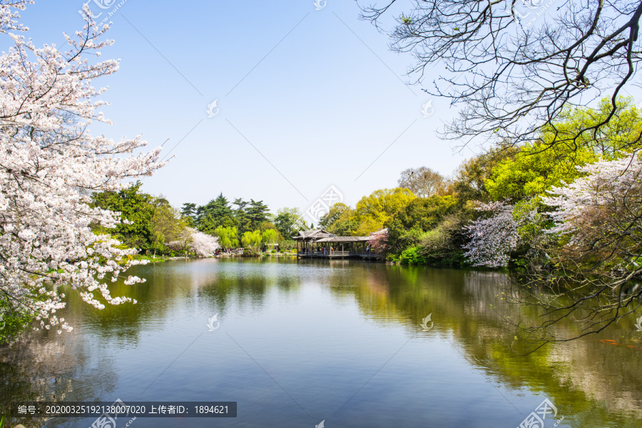 西湖春景