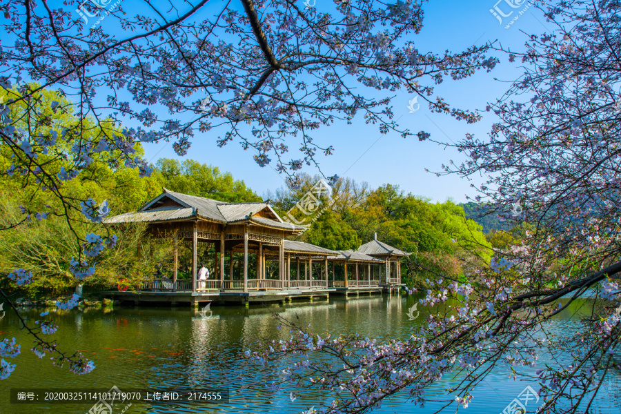 西湖春景