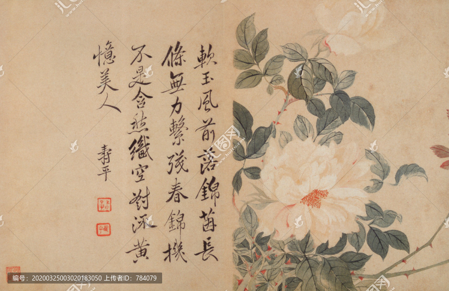 惲南田牡丹圖