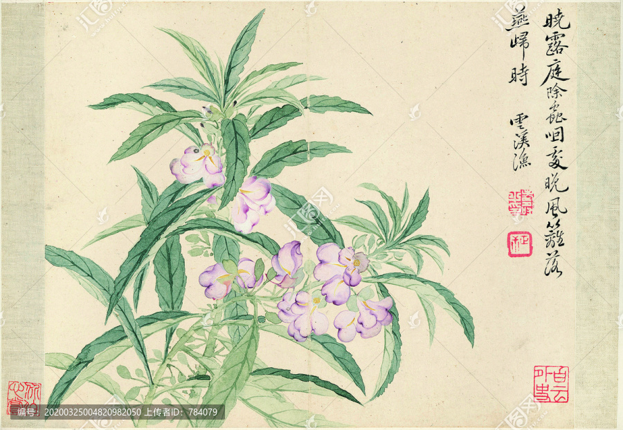 惲南田蘭花圖