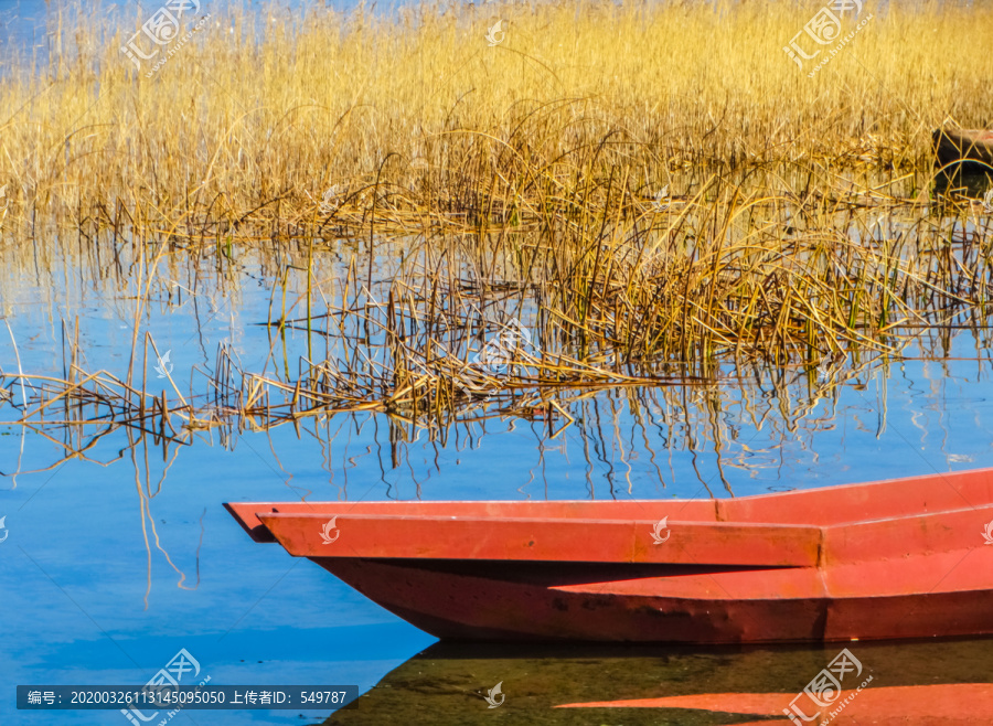 泸沽湖湿地