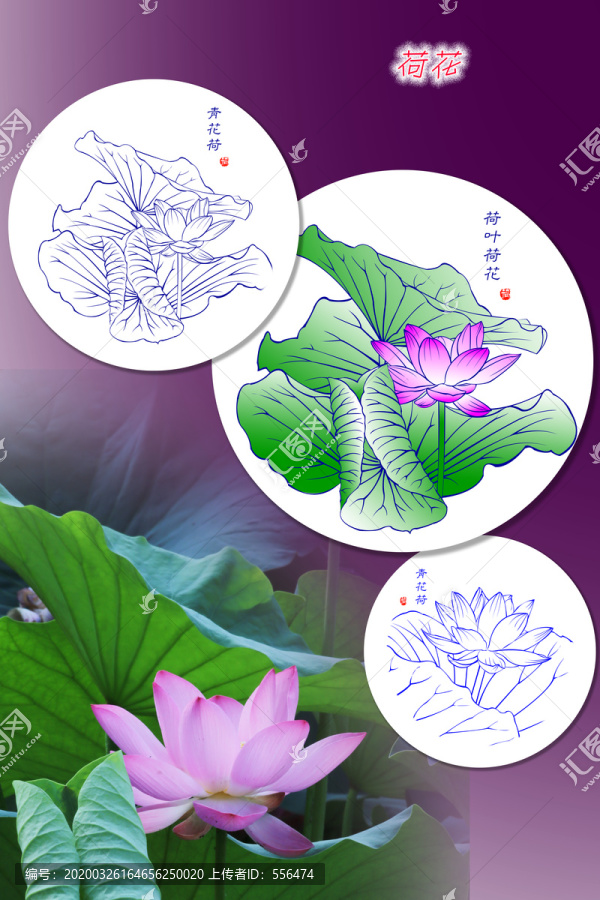 荷花裝飾畫