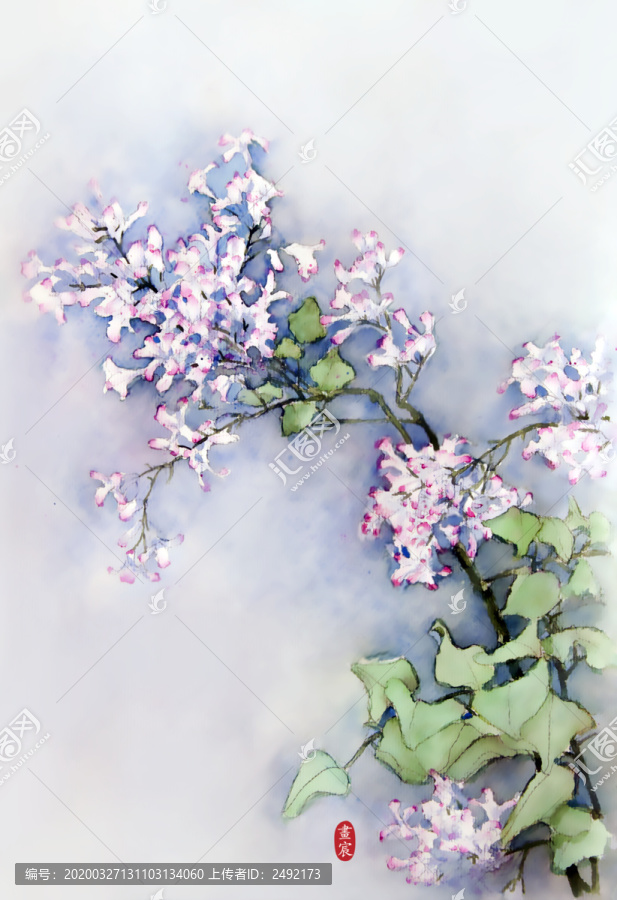 丁香花