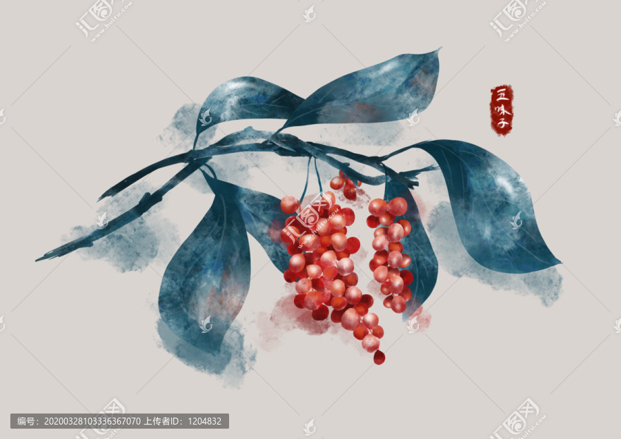 五味子