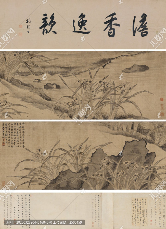 王武水仙卷