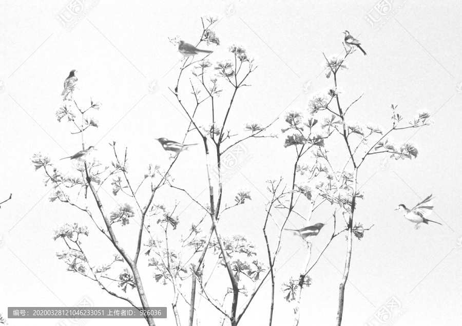 水墨花鳥