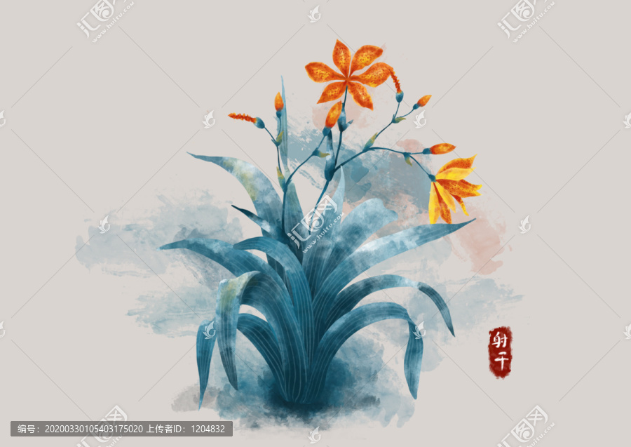 射干