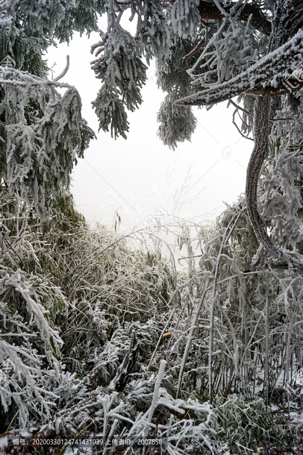 大雪