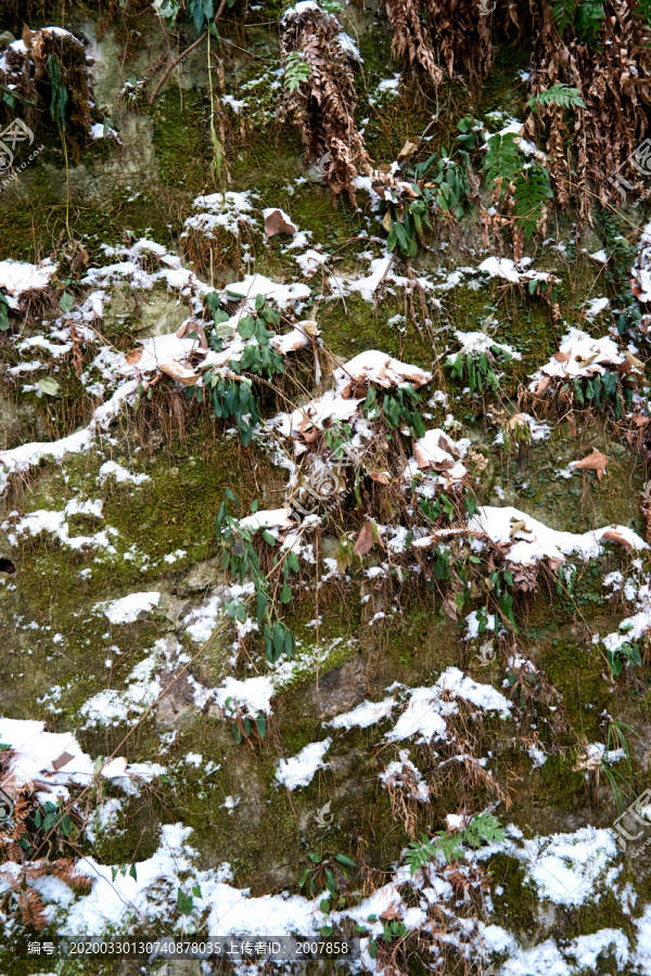 雪