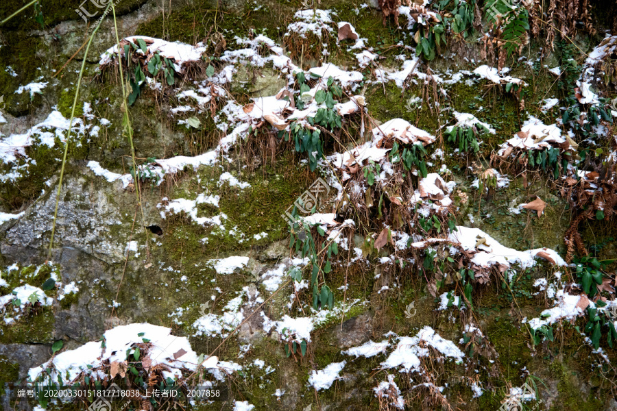 雪