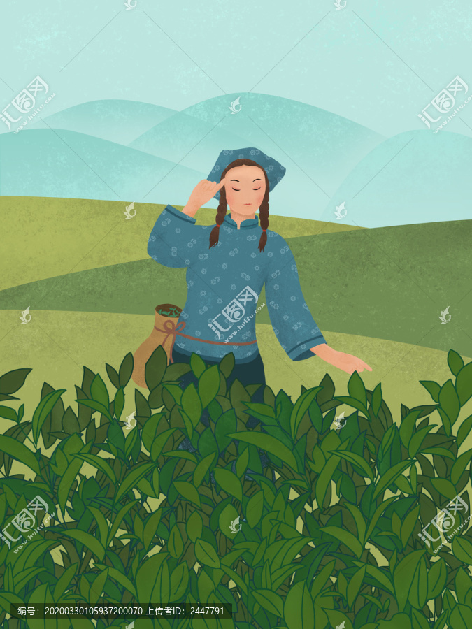 采茶女插畫