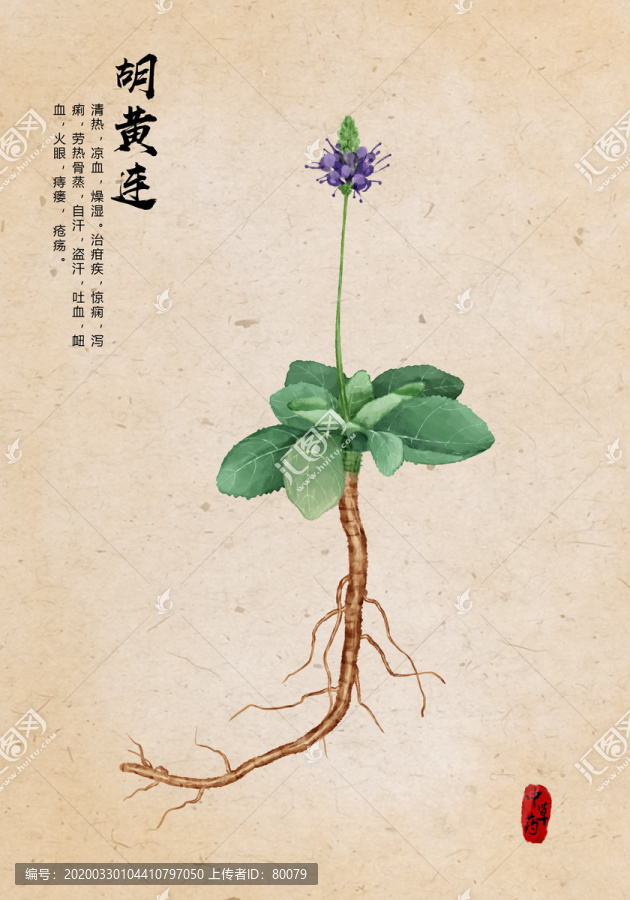 胡黃連