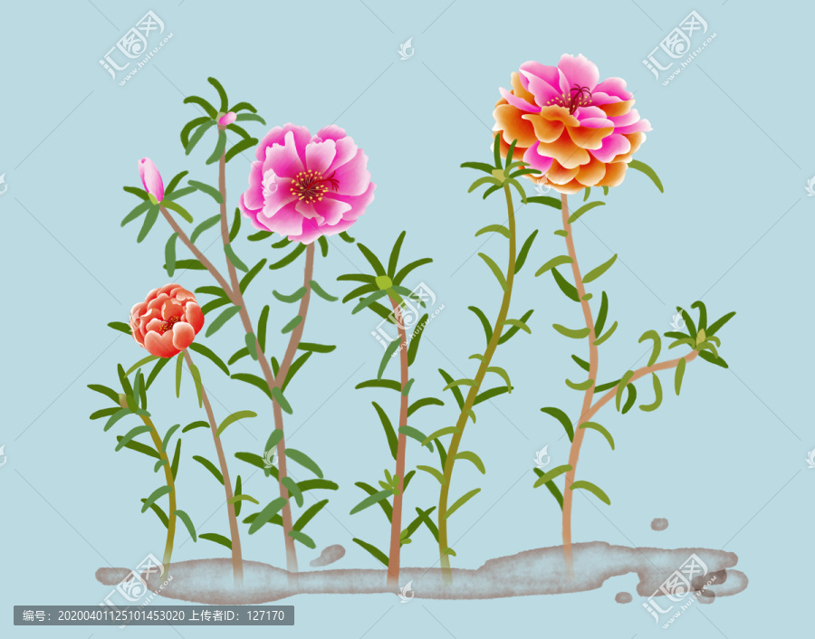 太陽(yáng)花