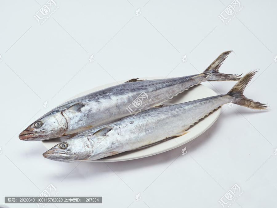 鲅魚