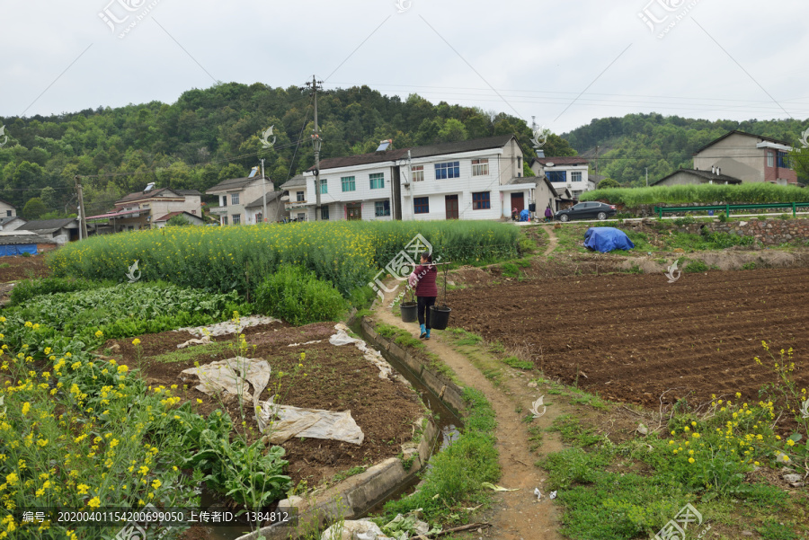 乡村农民劳动场景