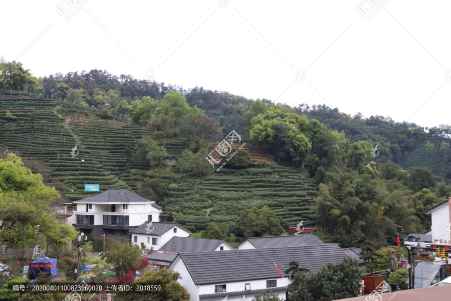 杭州杨梅岭景区民宿